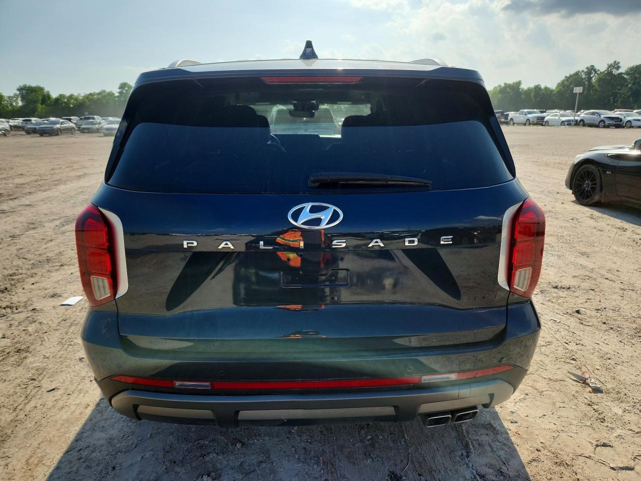 2024 Hyundai Palisade Sel Premium - Фото 6