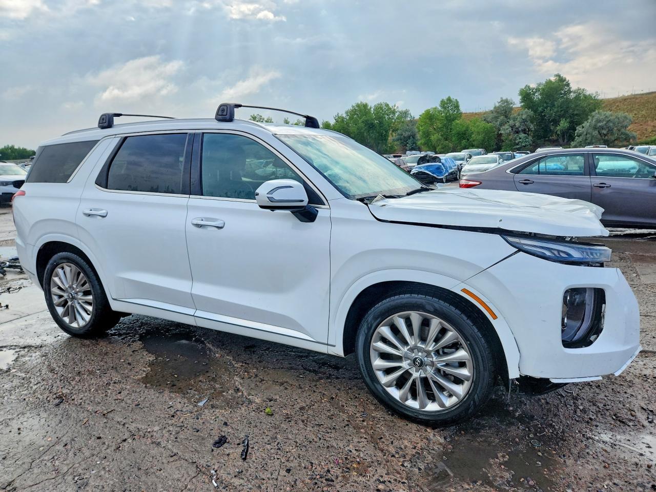 2020 Hyundai Palisade Limited - Фото 4