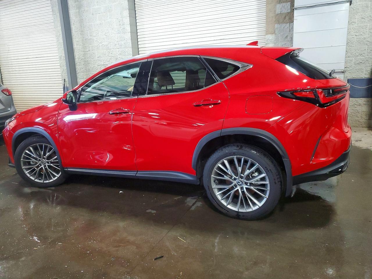 2024 Lexus Nx 350 Luxury - Image 2