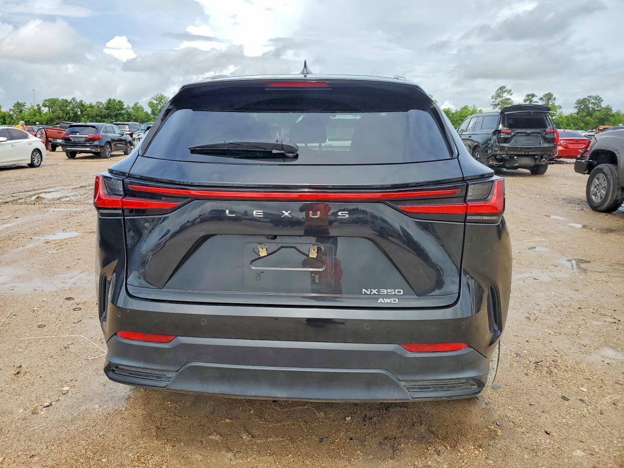 2024 Lexus Nx - Image 6