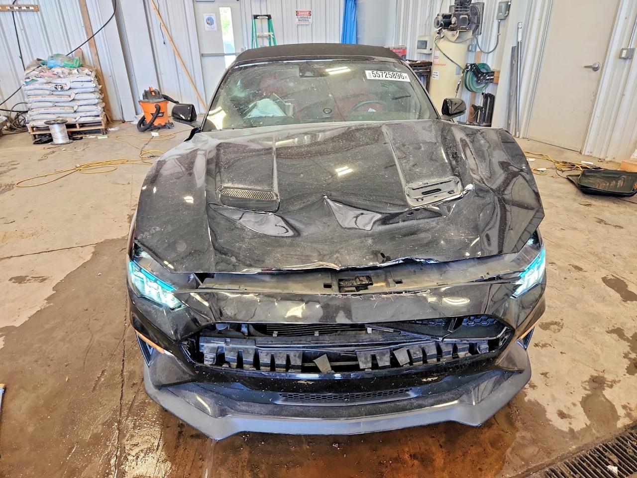 2019 Ford Mustang Gt - Image 5