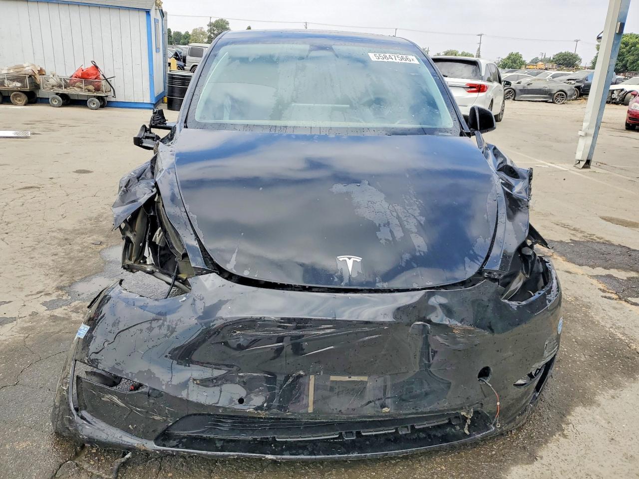 2021 Tesla Model Y - Фото 5