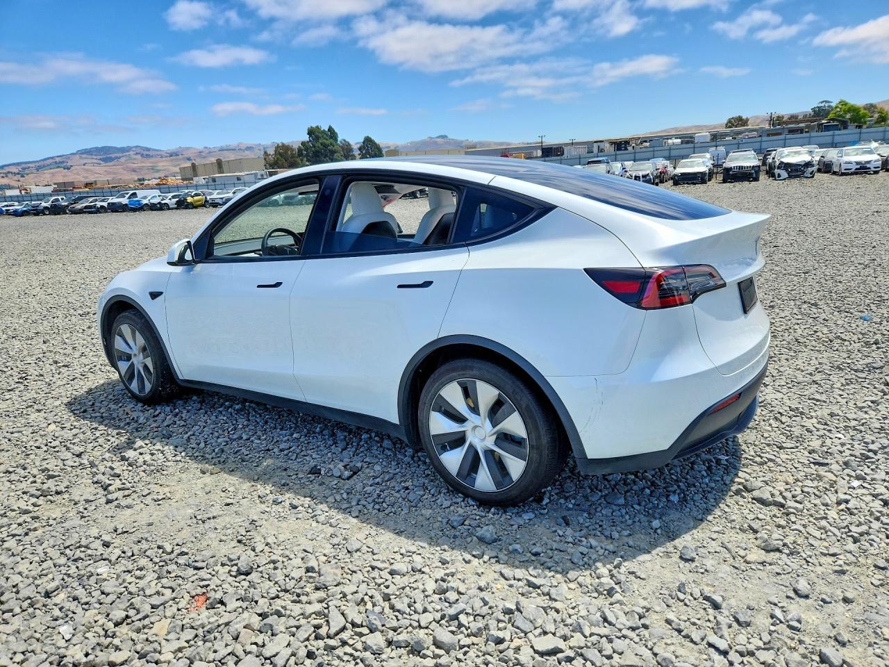 2023 Tesla Model Y - Фото 2