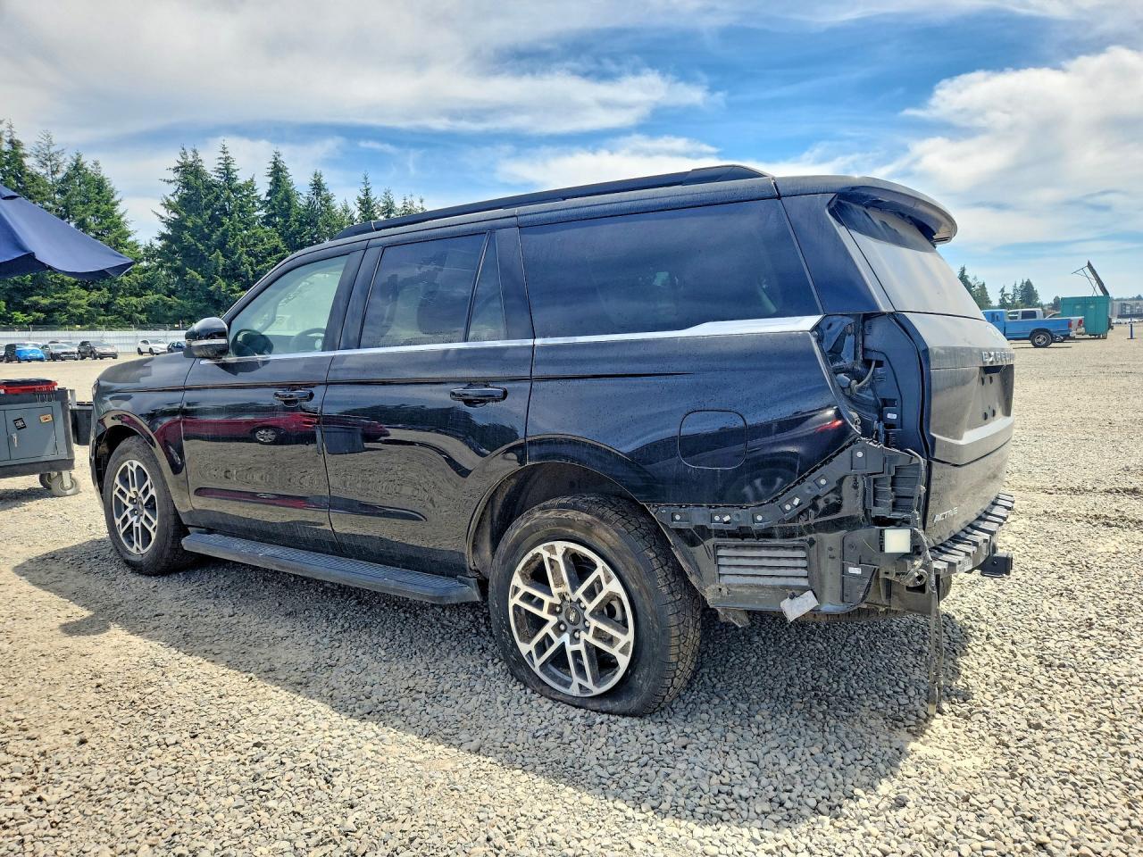 2025 Ford Expedition Active - Фото 2