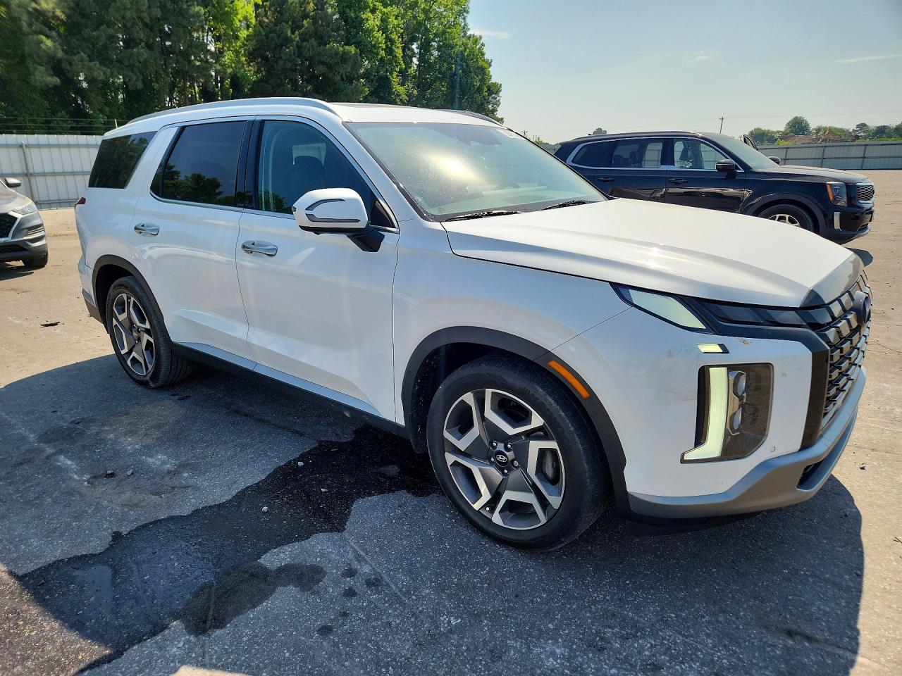 2023 Hyundai Palisade Sel Premium - Фото 4