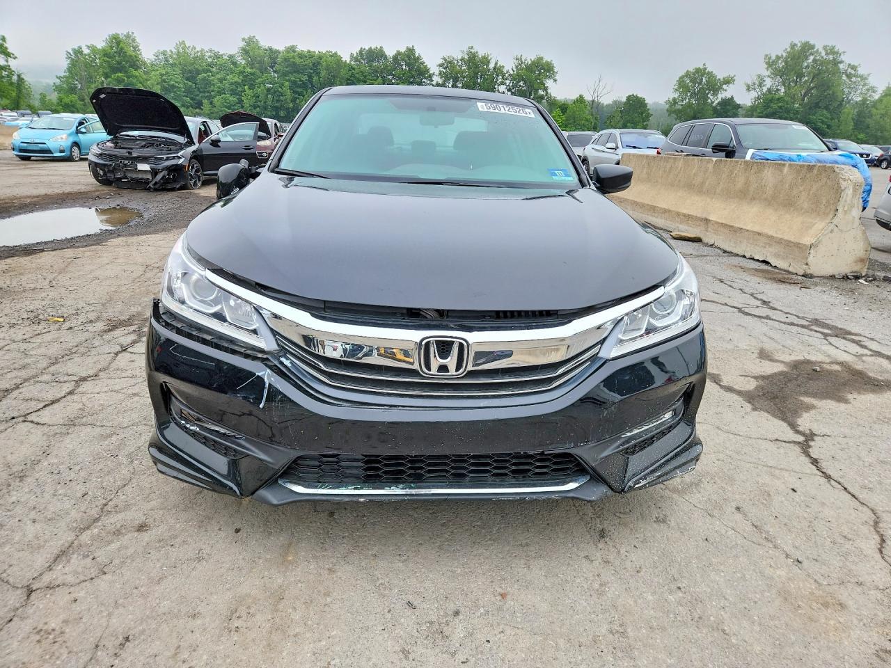 2014 Honda Accord Sport - Фото 5
