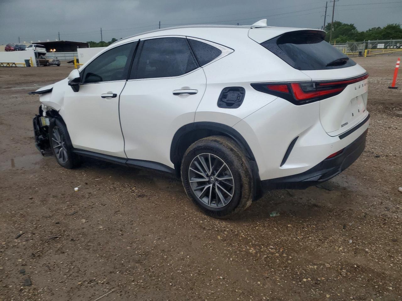 2024 Lexus Nx 250 Premium - Фото 2