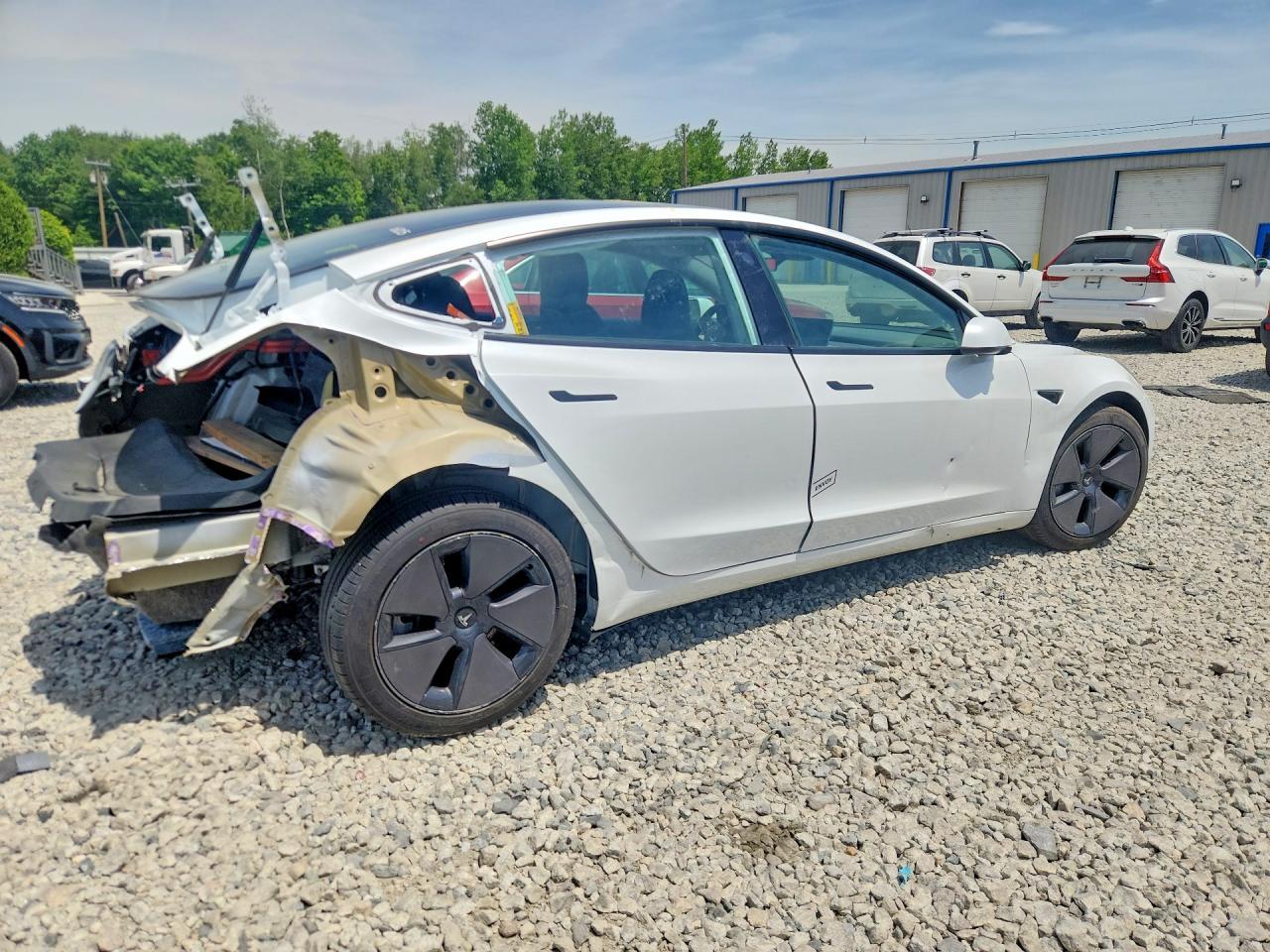 2023 Tesla Model 3 - Фото 3