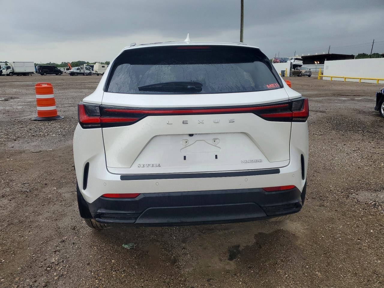 2024 Lexus Nx 250 Premium - Фото 6