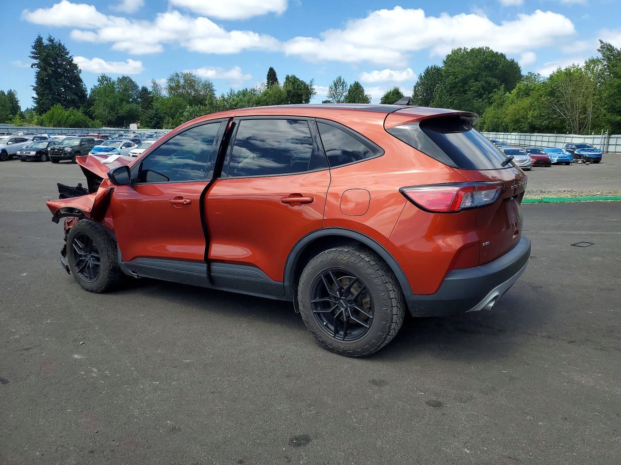 2020 Ford Escape Se Sport - Фото 2