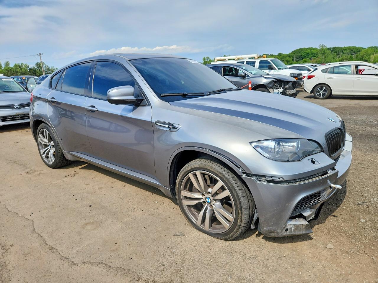 2010 BMW X6 M - Image 4