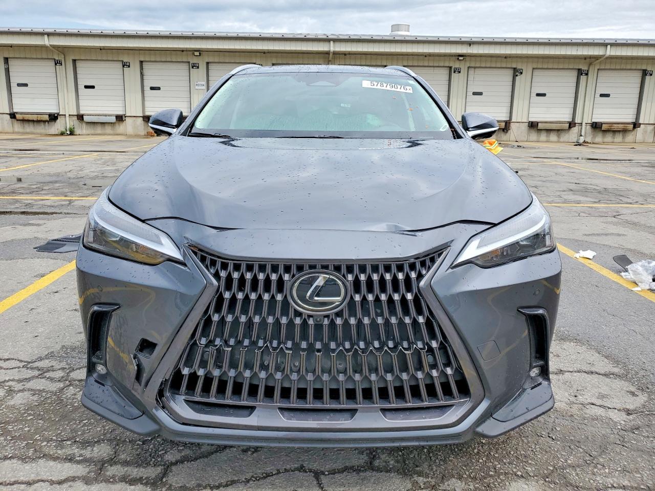 2026 Lexus Nx 350 Premium - Фото 5