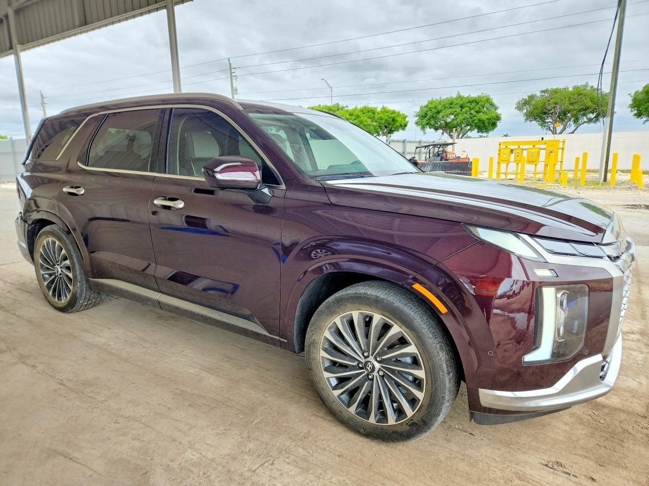 2024 Hyundai Palisade Calligraphy - Фото 4
