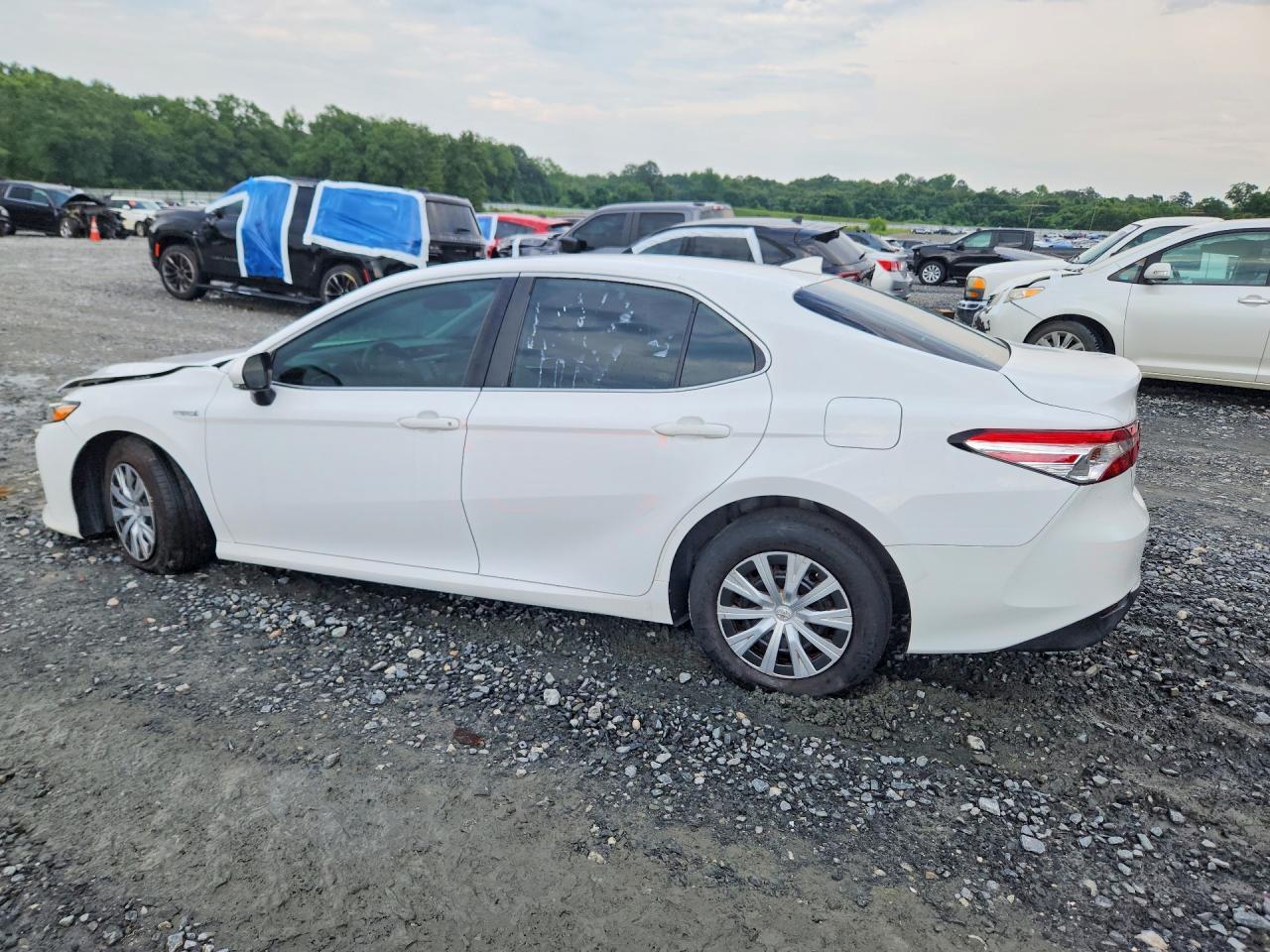 2019 Toyota Camry Hybrid Le - Фото 2