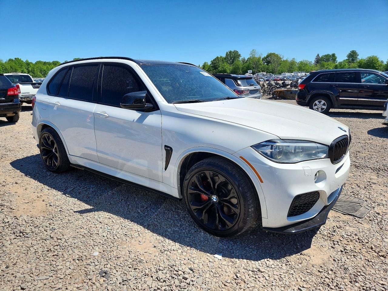 2016 BMW X5 xDrive50I - Фото 4