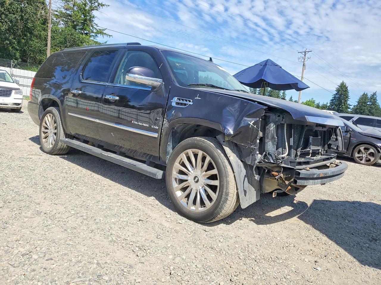 2014 Cadillac Escalade Esv Platinum - Фото 4