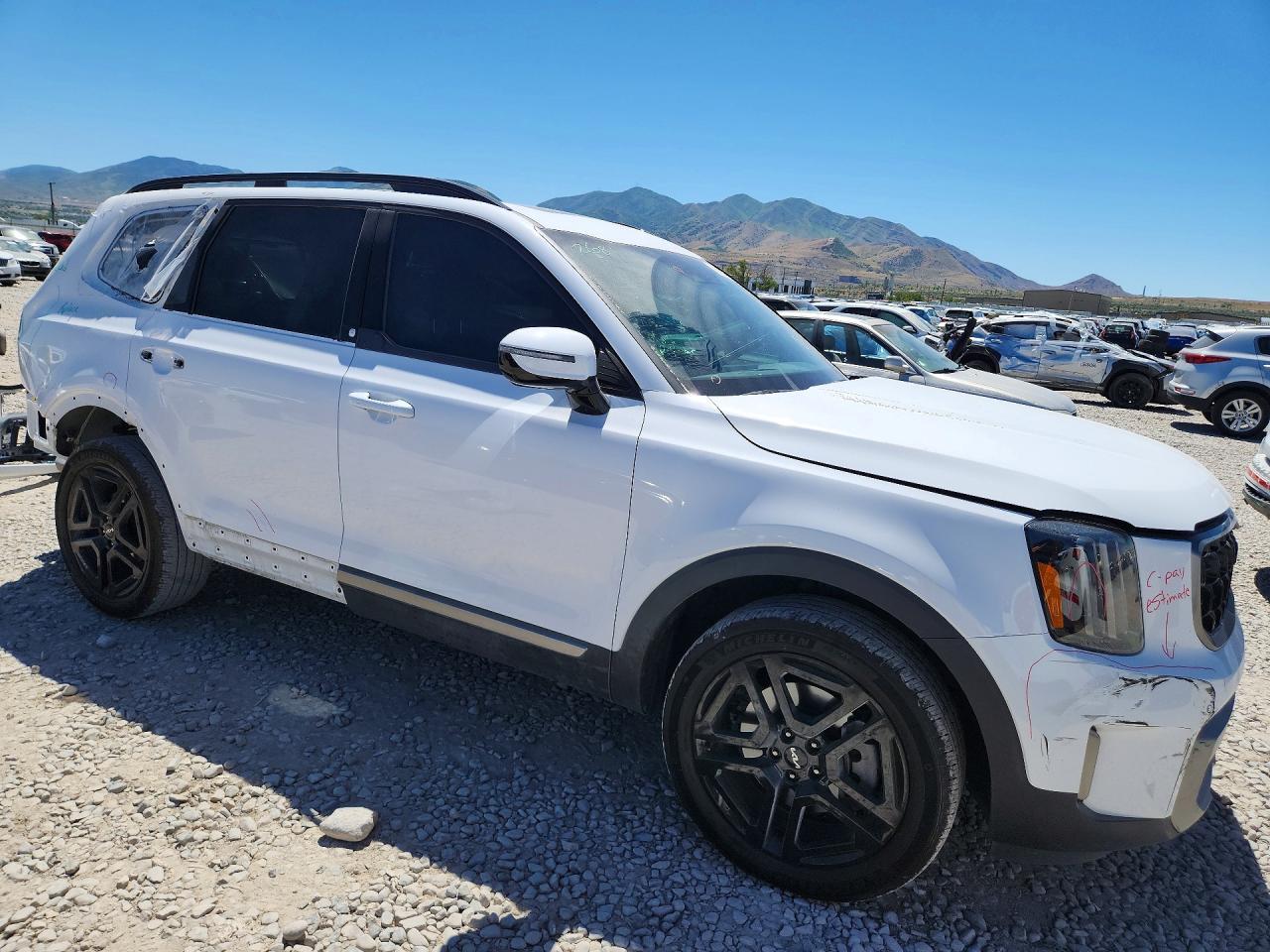 2023 Kia Telluride Sx X-Line - Image 4
