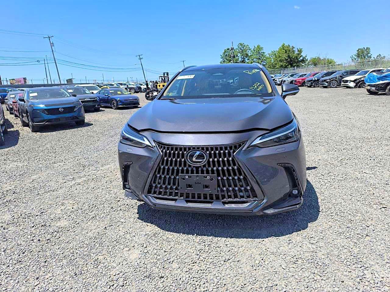 2024 Lexus Nx 350 Luxury - Image 5