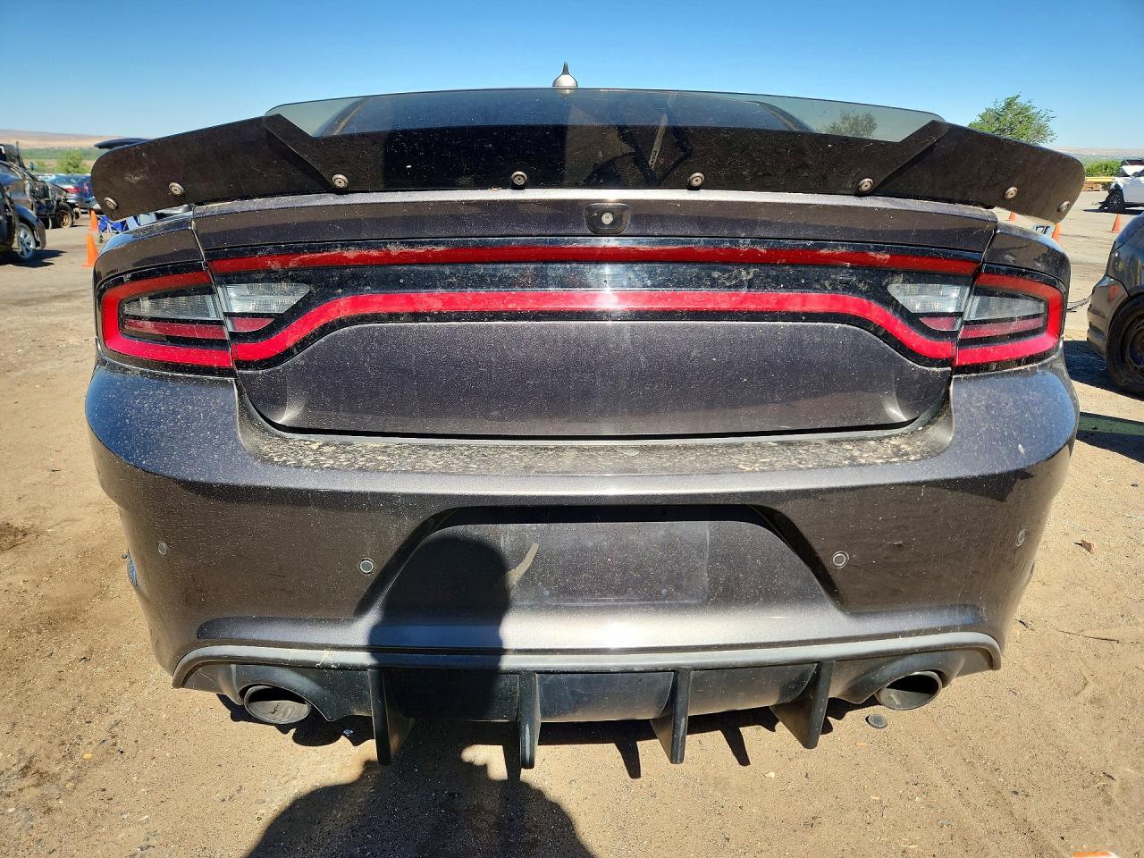 2019 Dodge Charger R - Фото 6