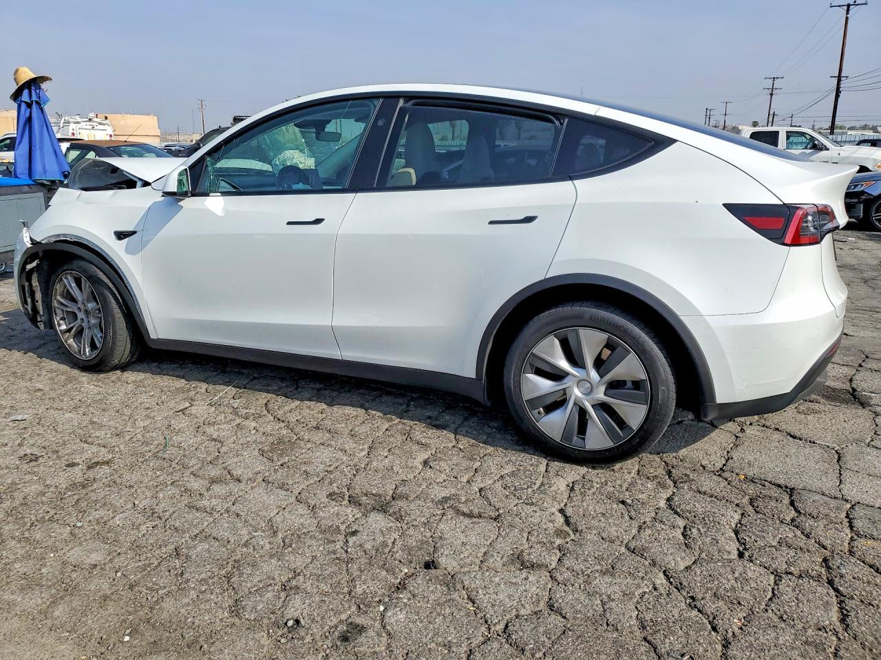2023 Tesla Model Y - Фото 2