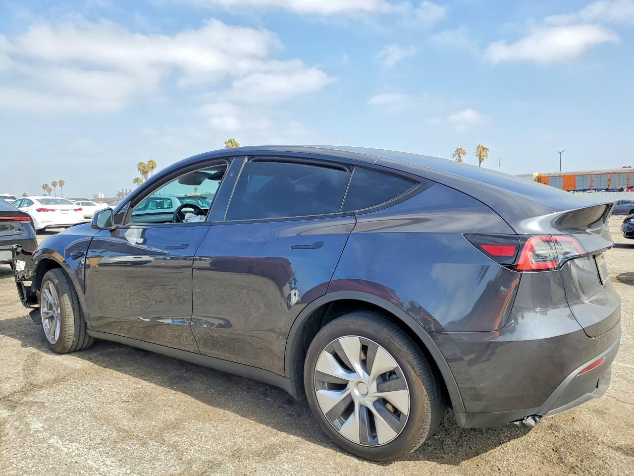 2024 Tesla Model Y - Фото 2