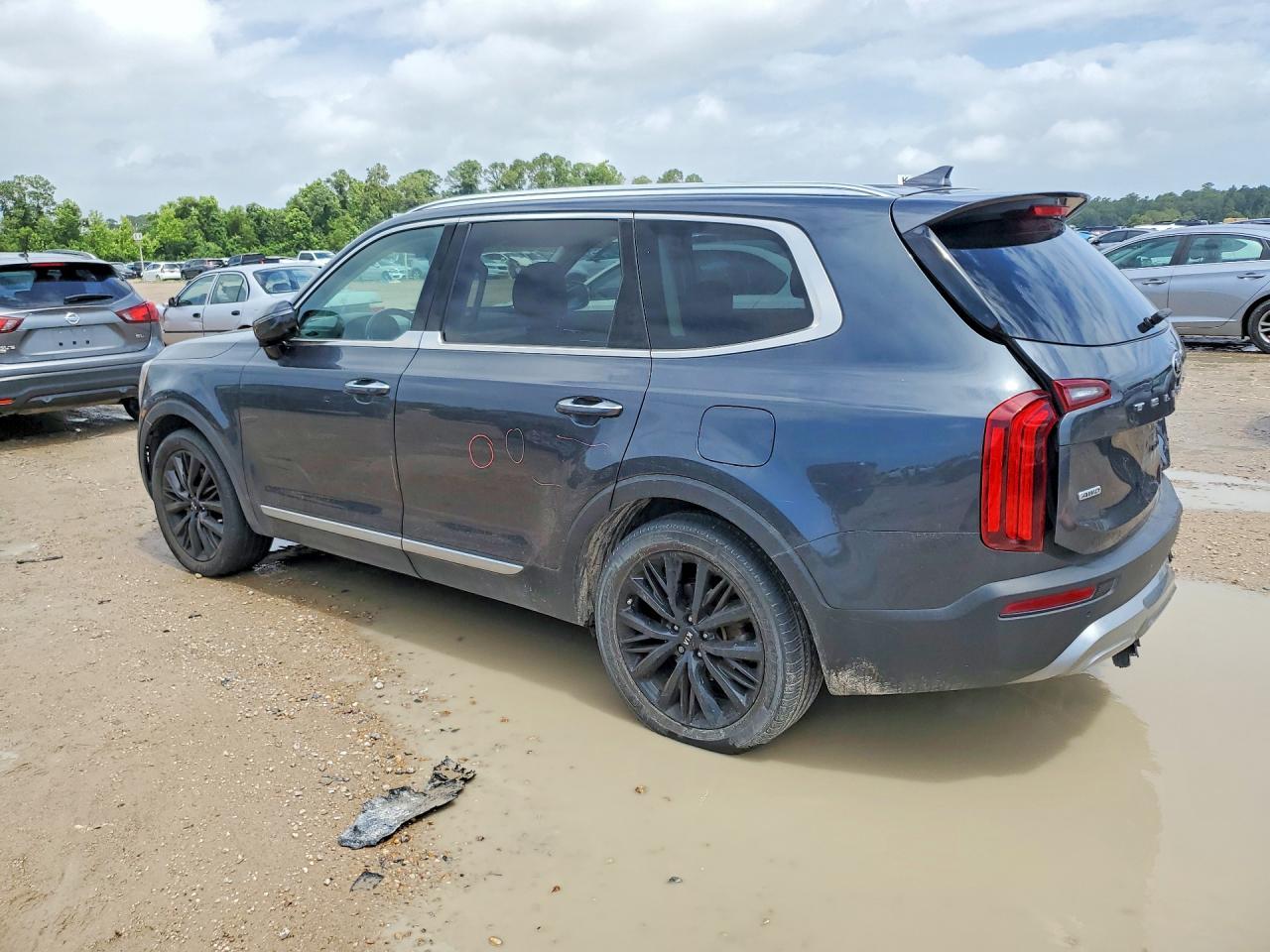 2021 Kia Telluride Sx - Фото 2
