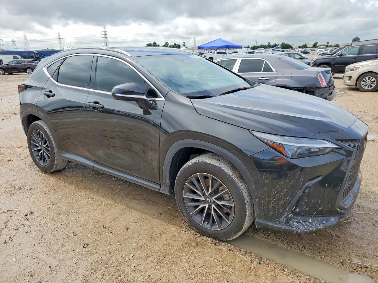 2024 Lexus Nx - Image 4