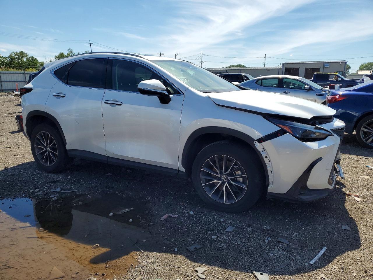 2024 Lexus Nx 350 Base - Image 4