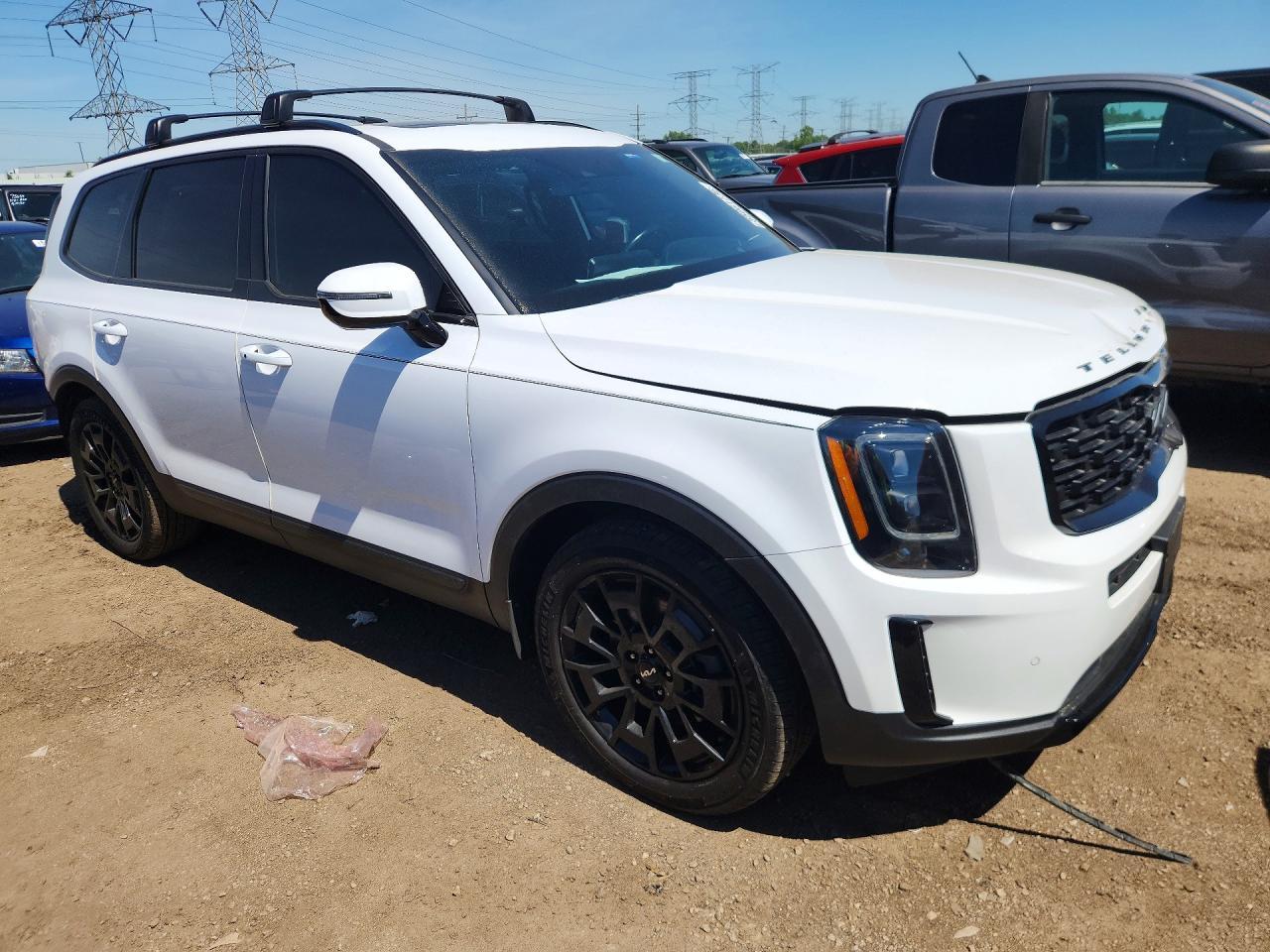 2022 Kia Telluride Sx - Фото 4