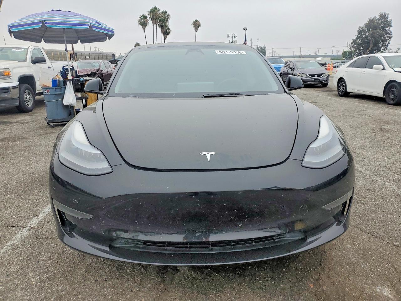 2023 Tesla Model 3 - Фото 5