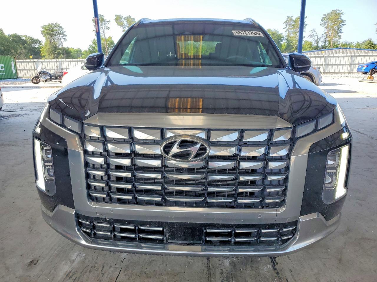 2024 Hyundai Palisade Calligraphy - Фото 5