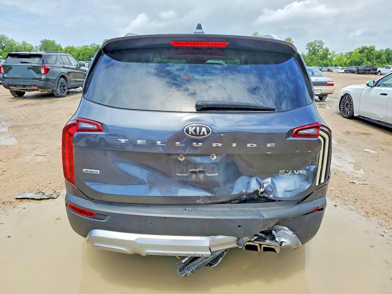 2021 Kia Telluride Sx - Фото 6