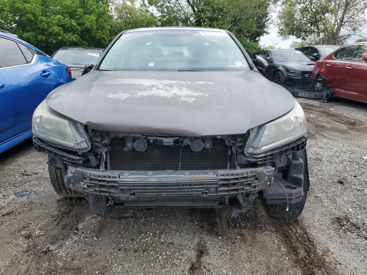 2013 Honda Accord Sport - Image 5