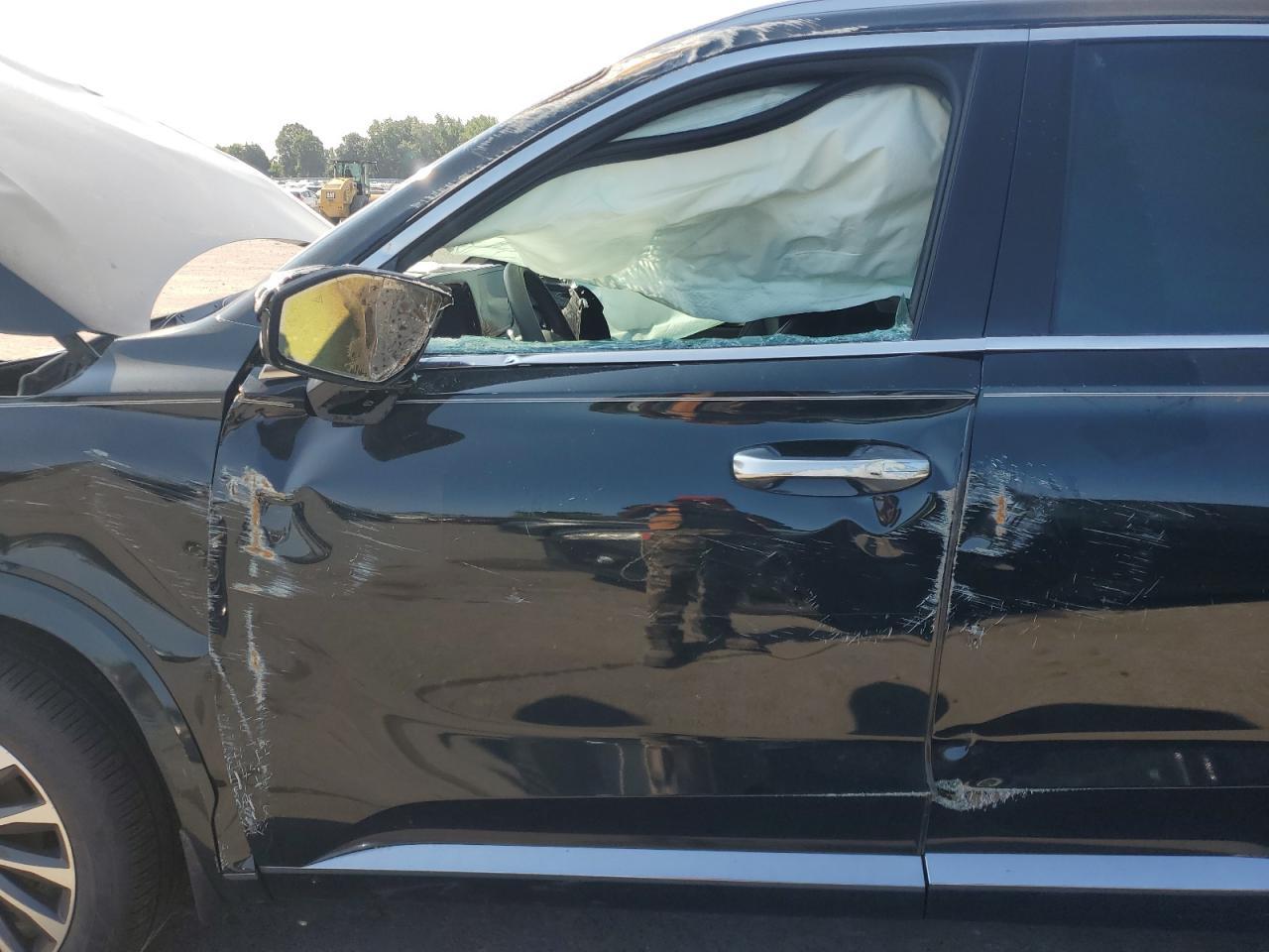 2025 Hyundai Palisade Calligraphy - Фото 7