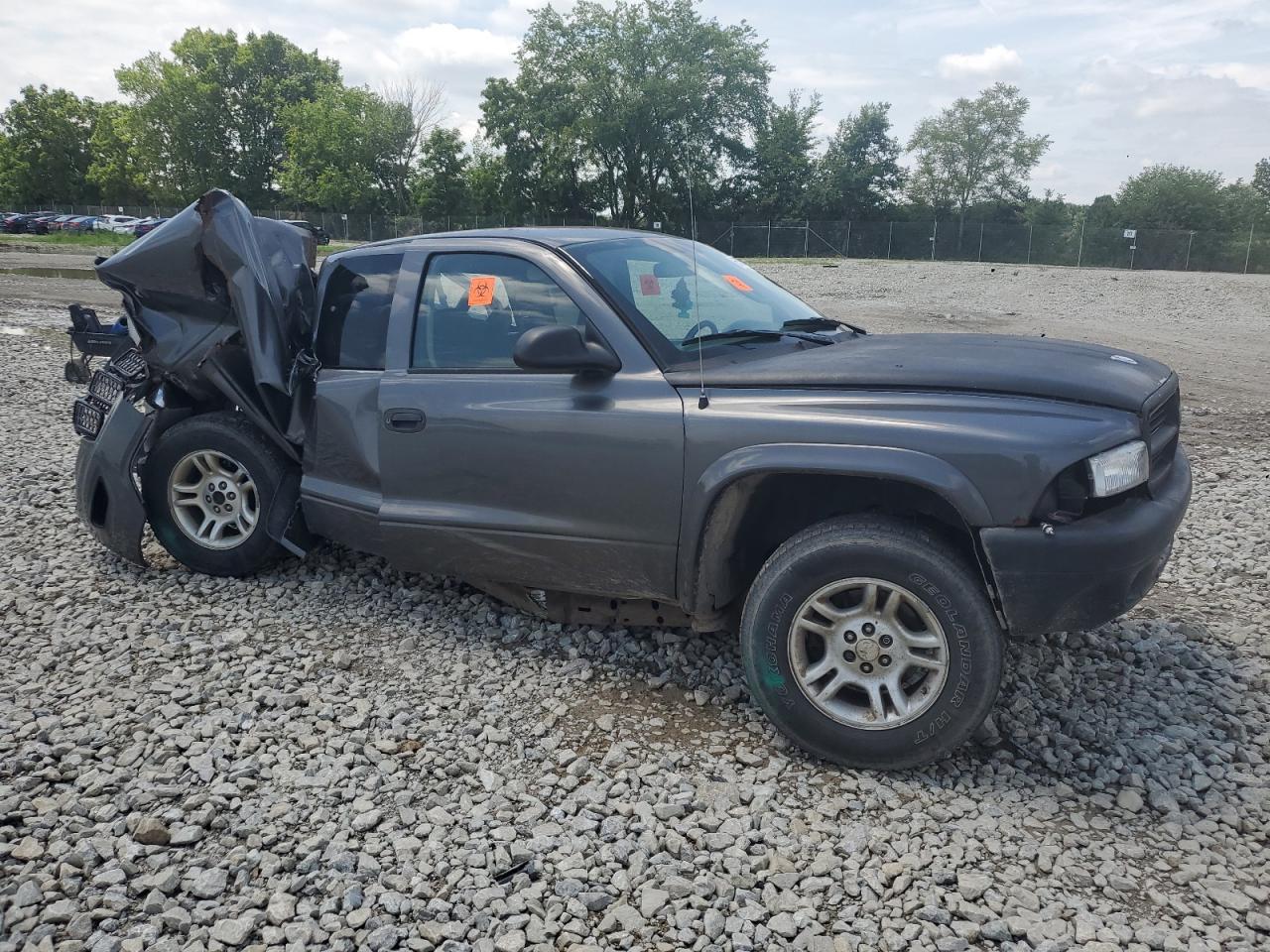 2003 Dodge Dakota Slt - Фото 4