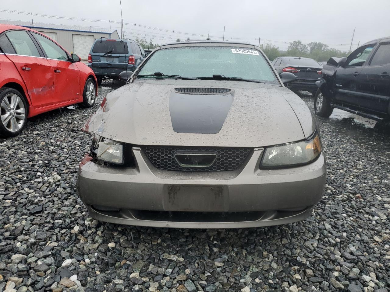 2002 Ford Mustang - Image 5