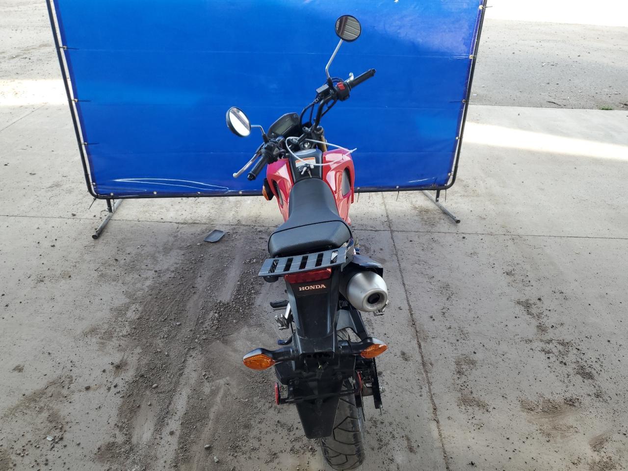 2014 Honda Grom 125 - Image 4