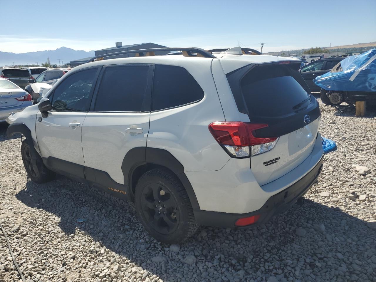 2023 Subaru Forester Wilderness - Image 2
