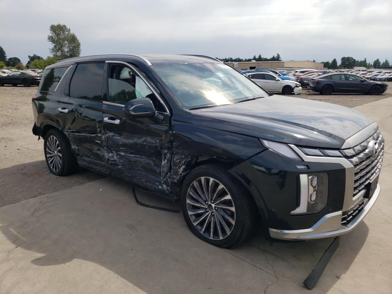2024 Hyundai Palisade Calligraphy - Фото 4