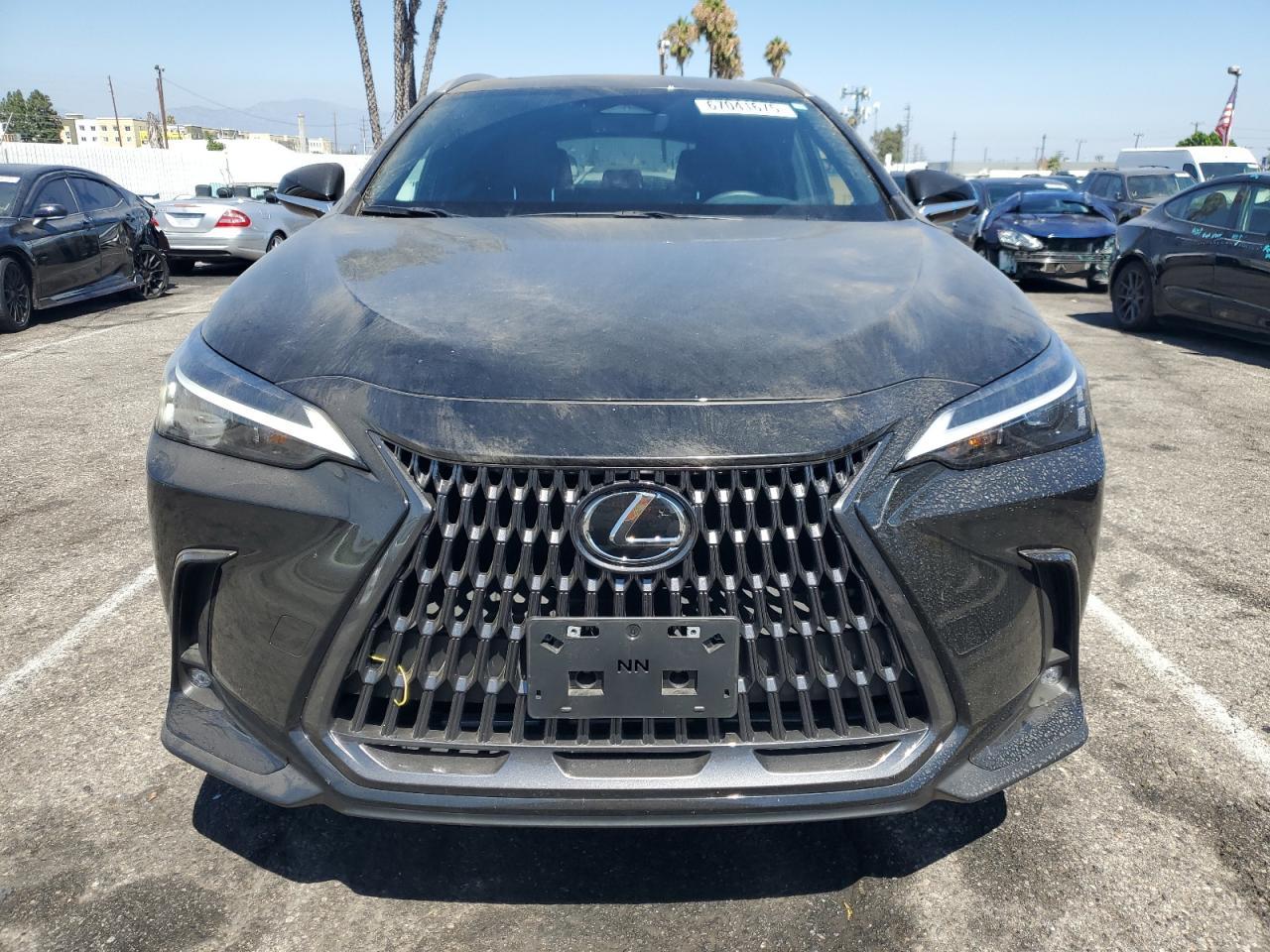 2024 Lexus Nx 350 Base - Фото 5