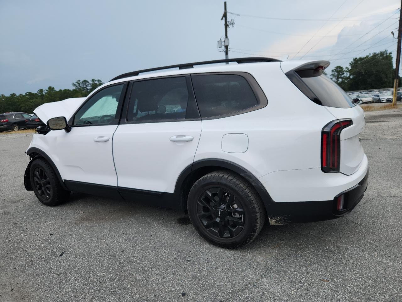 2024 Kia Telluride Sx - Image 2