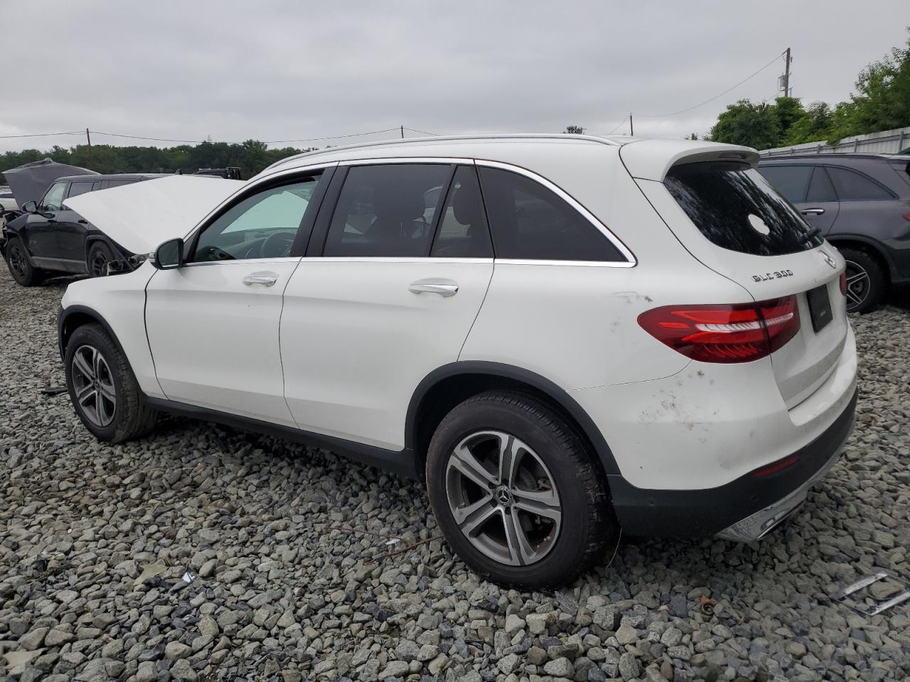 2019 Mercedes-Benz Glc 300 4Matic - Фото 2