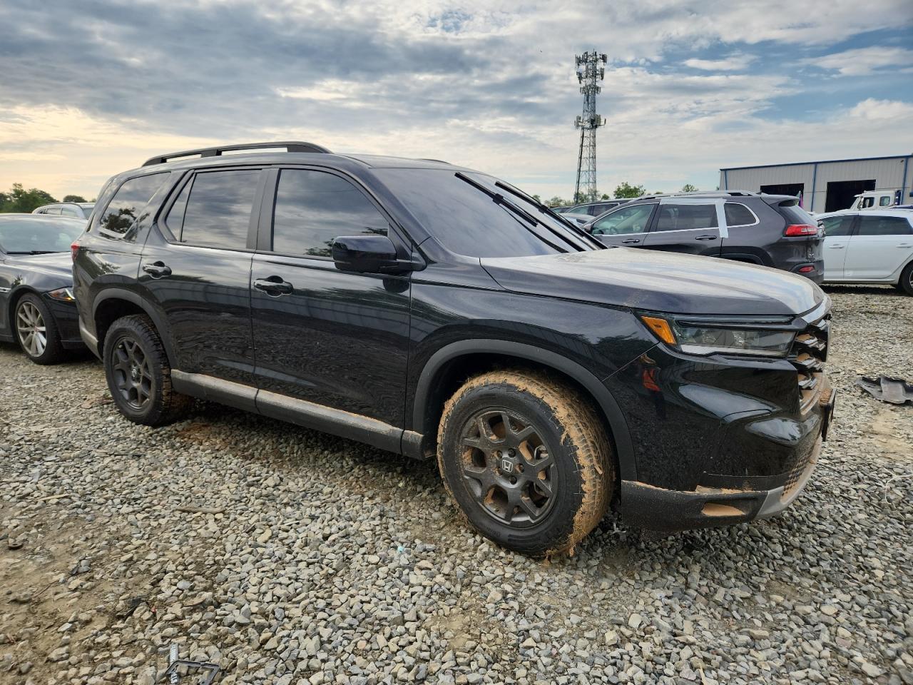 2025 Honda Pilot Trailsport - Image 4