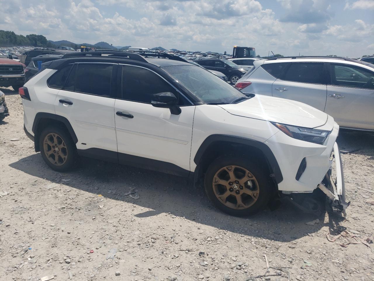 2024 Toyota Rav4 Woodland Edition - Image 4