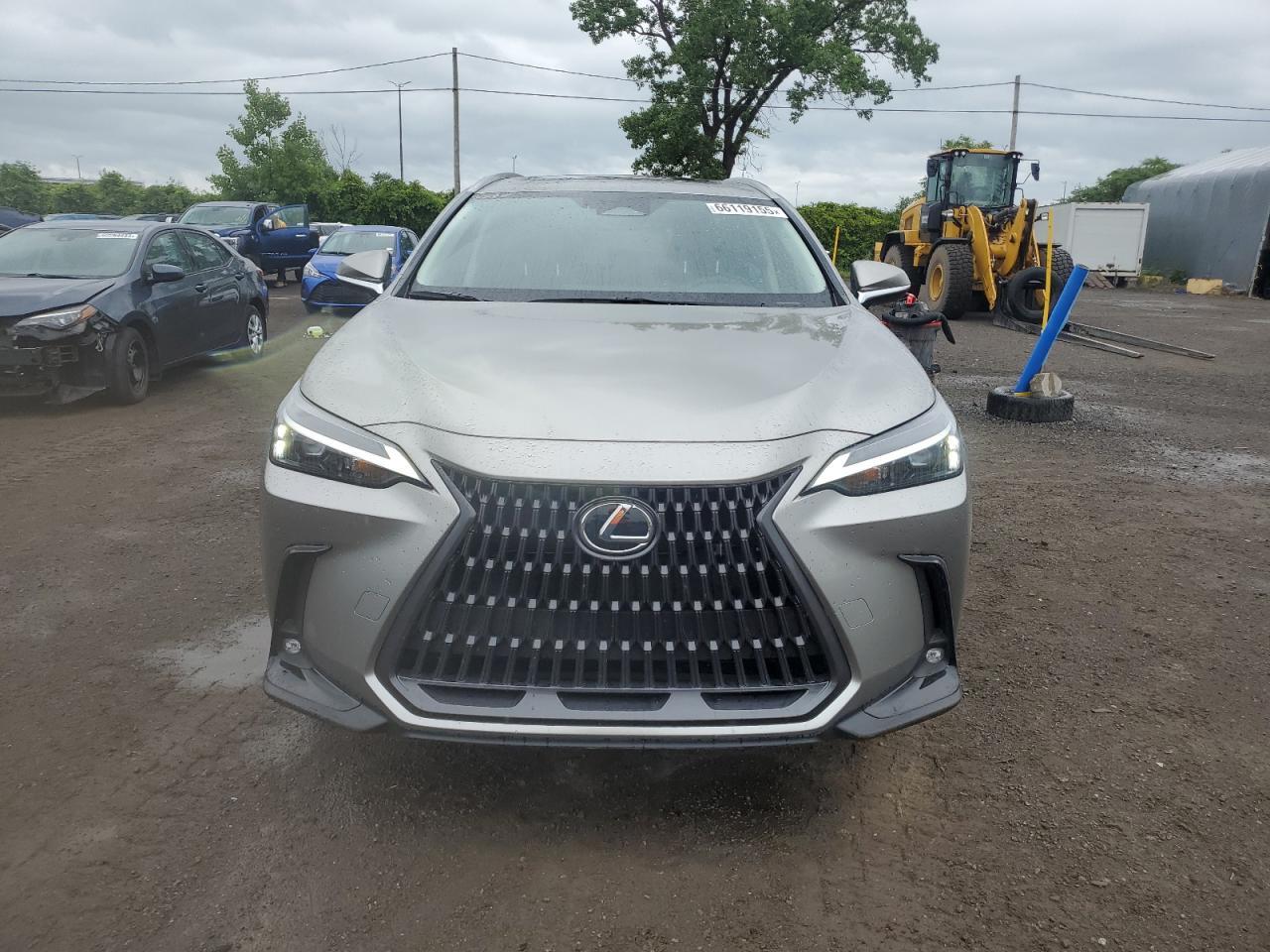 2025 Lexus Nx 450H Luxury - Фото 5