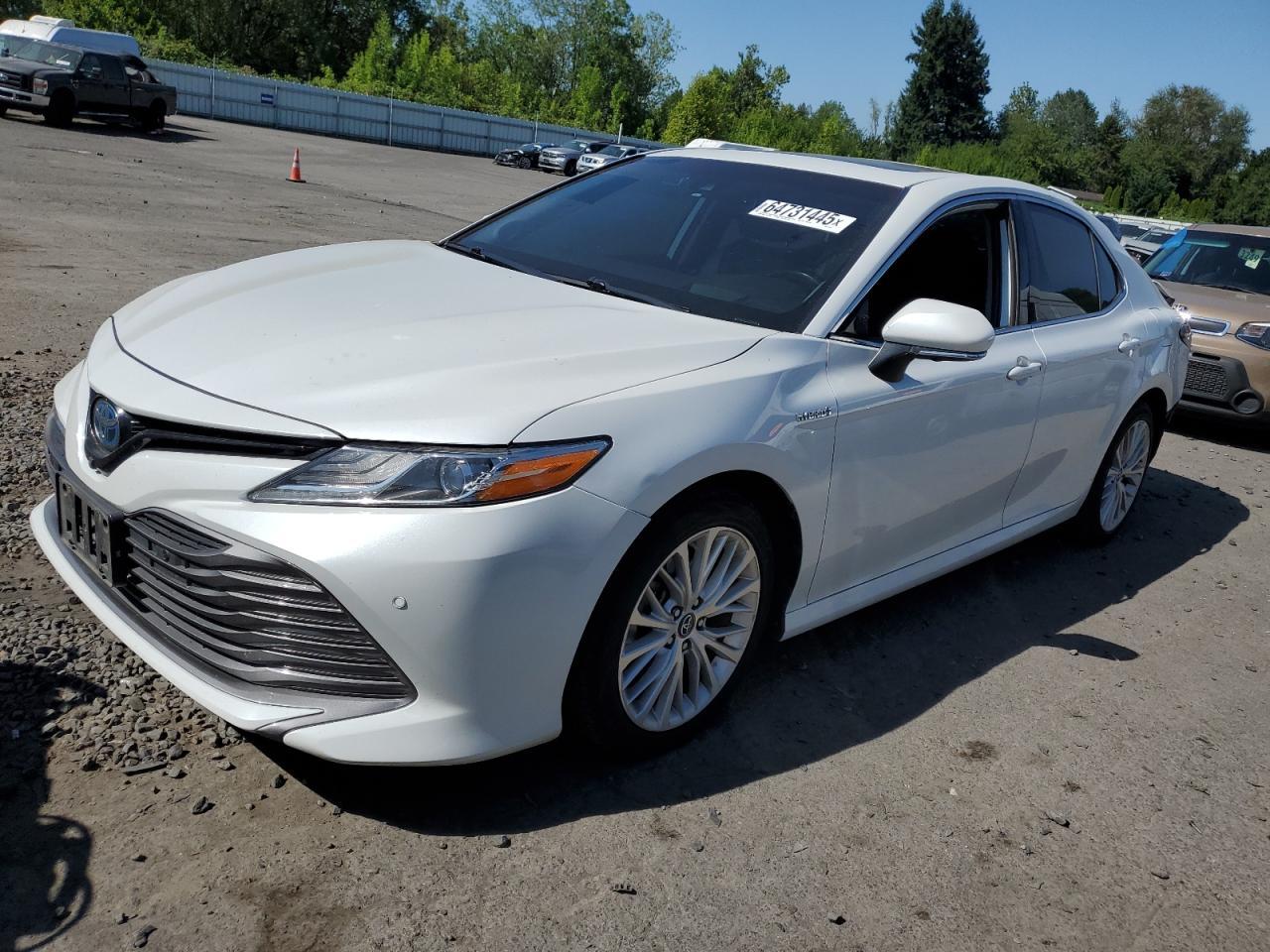 2019 Toyota Camry Hybrid