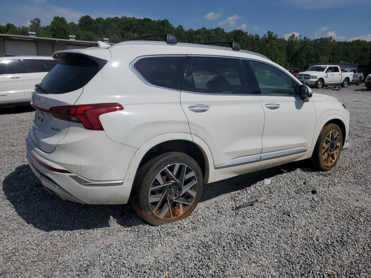 2023 Hyundai Santa Fe Calligraphy - Фото 3