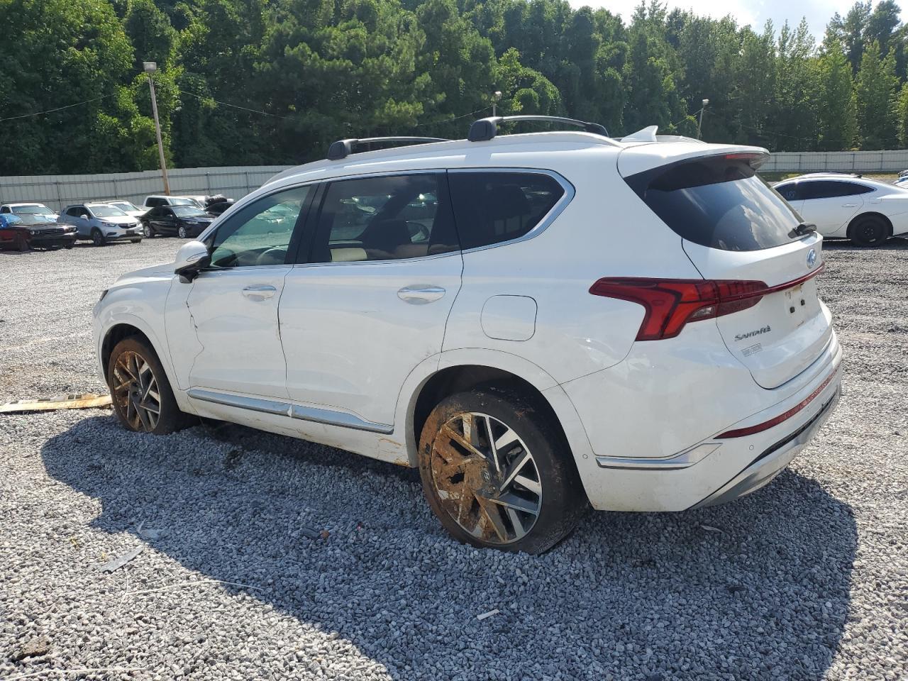 2023 Hyundai Santa Fe Calligraphy - Фото 2