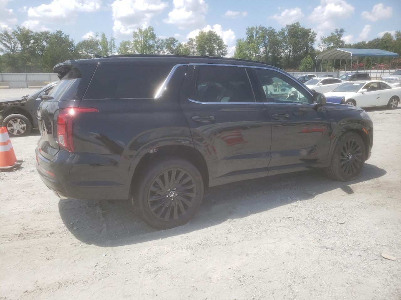 2025 Hyundai Palisade Calligraphy - Фото 3