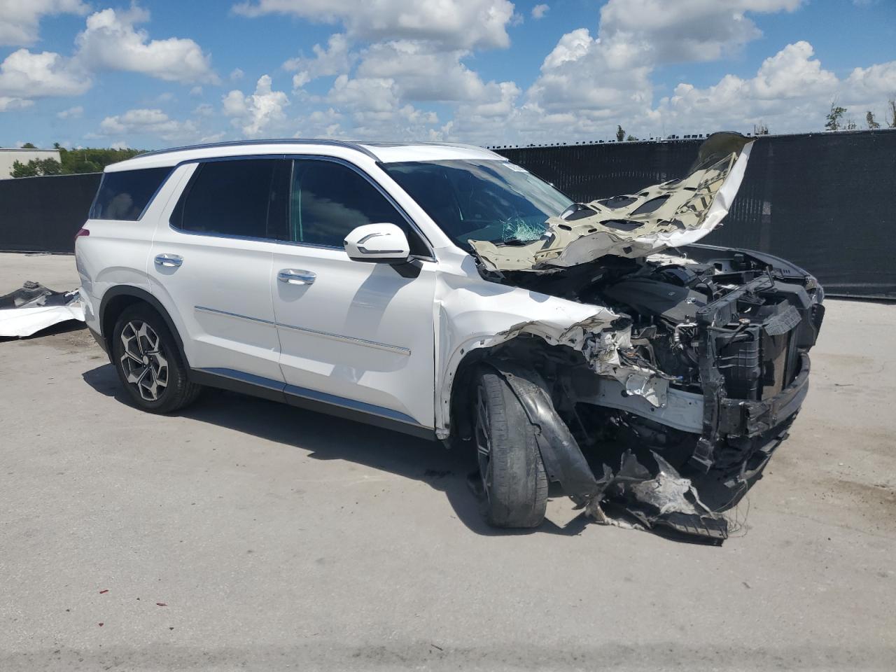 2021 Hyundai Palisade Sel - Фото 4